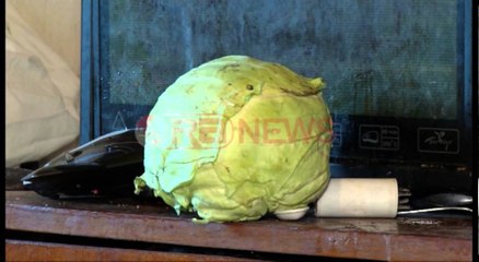 Nëna me 9 fëmijë në varfëri ekstreme, shteti i heq edhe ndihmën ekonomike - Ora News