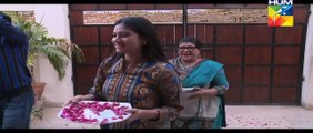 Joru Ka Ghulam Episode 50 Full HUM TV Drama 6 Dec 2015