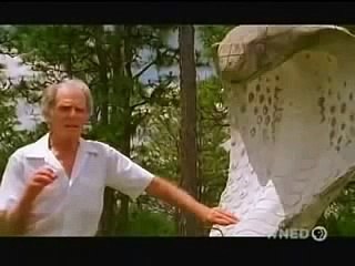 Snakes and life documentary │
