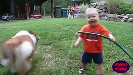 Puppies and Babies Playing Together Compilation