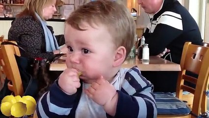 Babies Tasting Lemons for the First Time 2014