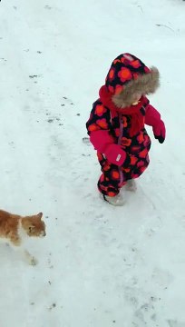 Вот почему нельзя поворачиваться к котам спиной