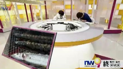 歴史秘話ヒストリア 2015年9月23日 150923 【きっと会える！大好きな人に 渋谷とハチ公 真実の物語】