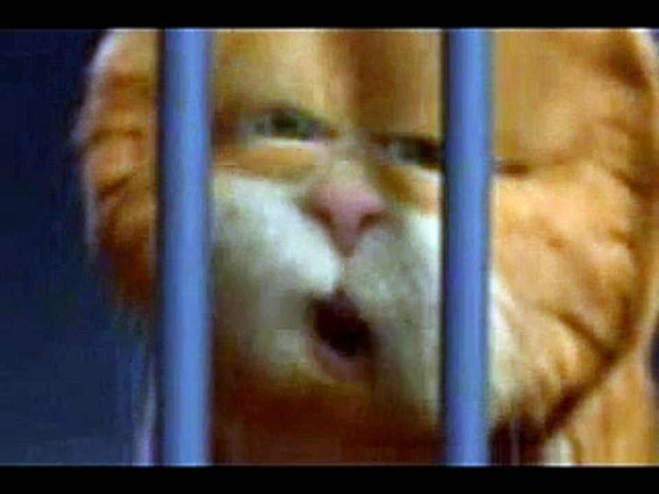 Funny Video Fails Pranks 005