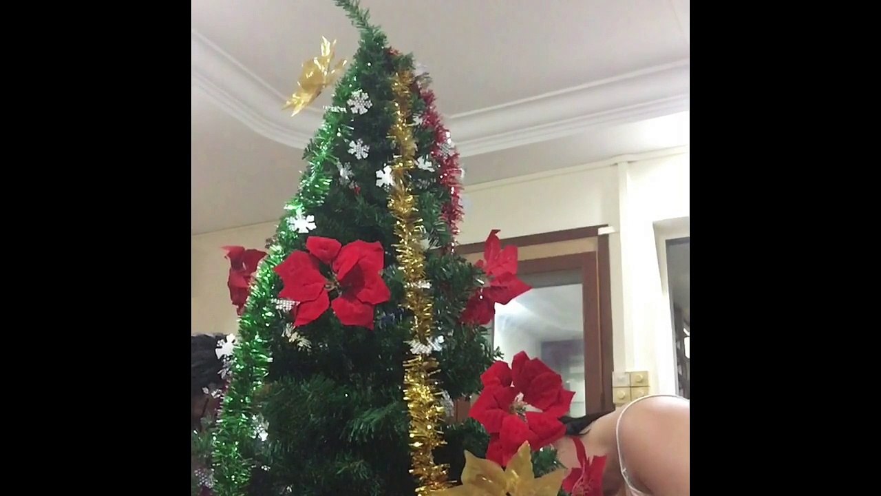 The Christmas Tree @ Blk 828
