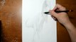 Drawing a T Rex - Anamorphic Optical Illusion - 3D Trick Art