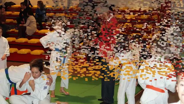 Ennery judo 57 téléthon 2015