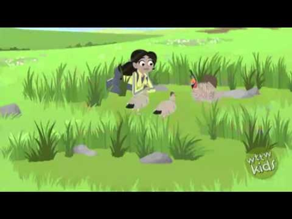 Wild Kratts Prairie Who