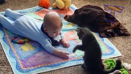 Скачать видео: Gatos mejores enfermeras y niñeras. Los gatos y los niños lindos (colección)