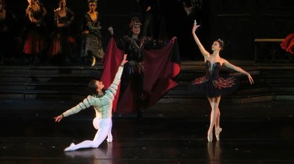 Erika Mikirticheva, Sergei Polunin - Swan Lake - 27.11.2015 - II