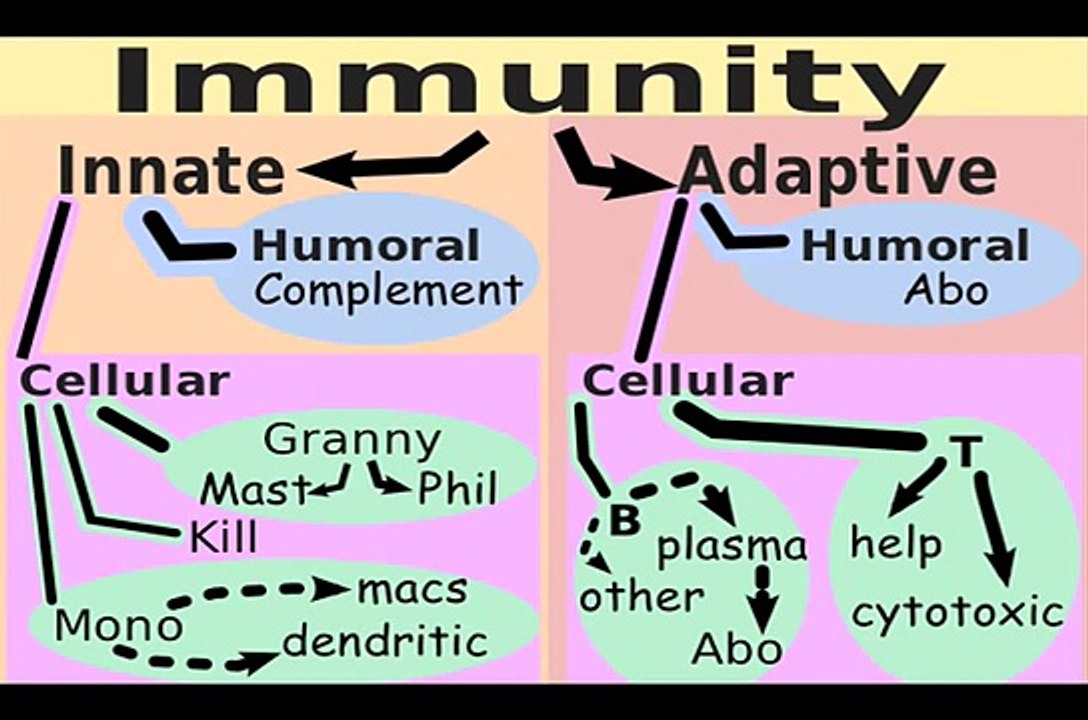 Immunology