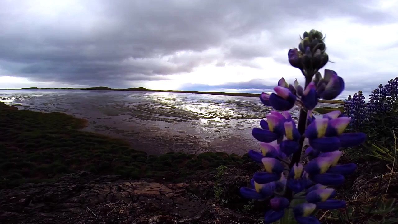 Island 2015 - Ring Road Trip on Iceland #5