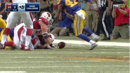 Instant Replay: Is it a fumble?