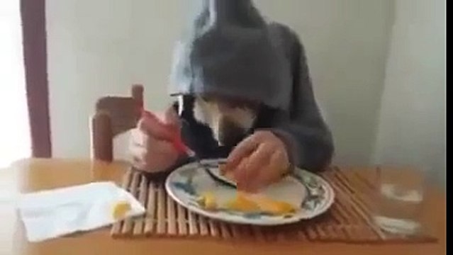 Целый день ржал