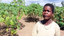 Mega agrobusiness grows resentment in Mozambique