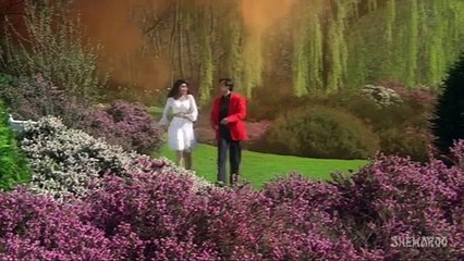 Maine Dekhe Lakhon Mukhde Full HD Song Salman Khan Sridevi Chand Ka Tukda Bollywood Songs