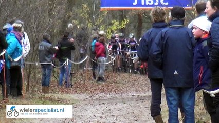 Lieshout Cat6 06-12-2015