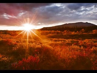 15 Minutes Reiki Healing Meditation Music