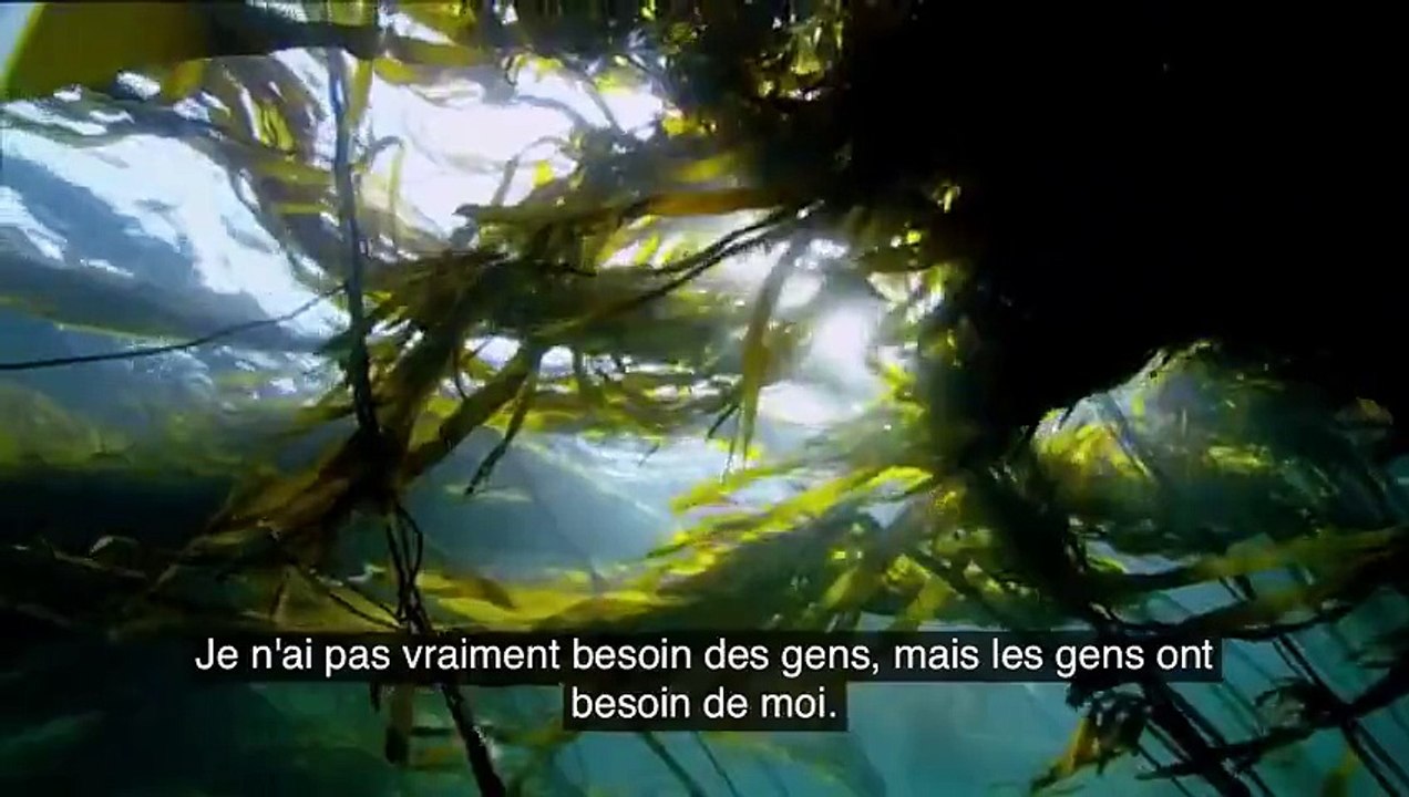 Mère nature n'a pas besoin de nous !!! Mais nous avons besoin d'elle elle est notre source de vie !!!