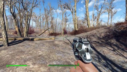 Fallout 4 - just a few steps further  the wasteland - coalabaer