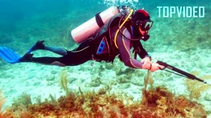 5 Pessoas que Sobreviveram a Ataques de Tubarão