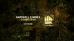 Hardwell & Wiwek Chameleon (Instrumental Mix) [OUT NOW!]