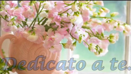 tantissimi auguri Alma Tomasini