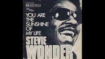 Stevie Wonder - You Are The Sunshine Of My Life - Japan Tour '88
