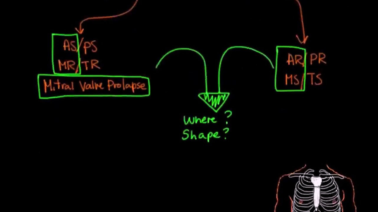 Systolic murmurs, diastolic murmurs, and extra heart sounds - Part 2