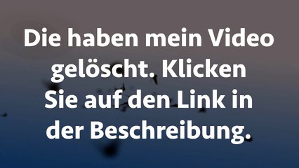 Kuddelmuddel bei Pettersson & Findus Teil 1 HD Deutsch