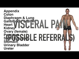 Visceral Pain - Possible Referrals - Quiz