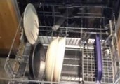 Teenage Instructional Video - Dishwasher Loading