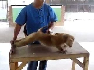 Monkey Push Ups