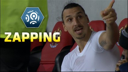 Zapping de la 17ème journée - Ligue 1 / 2015-16