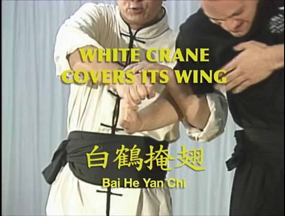 Lecciones Técnicas de Chin Na