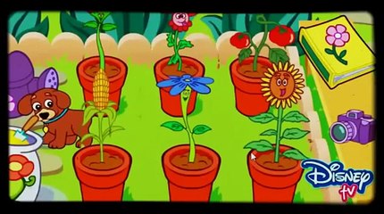 Dora The Explorer full Episodes | Cartoon Dora for Children | Amination movie 2016