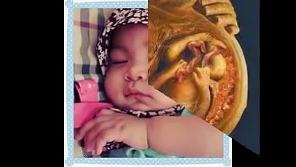 Tanda Awal Kehamilan Ciri Ciri Orang Hamil 1 Minggu