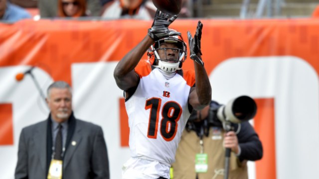 Morrison: Bengals Dominate Browns