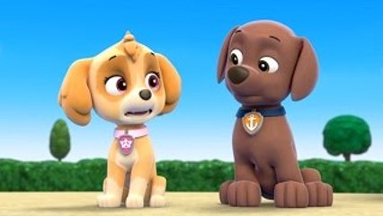 Paw Patrol Game Corn Roast Catastrophie - Nick JR English Cartoon - Paw Patrol Full Episodes 2015