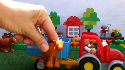 Çocuk şarkısı Dedemin çiftliği var (Old MacDonald Had a Farm türkçe)