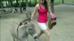 Oh !!! Donkey Gone Crazy-Top Funny Videos-Top Funny Pranks-Funny Fails-ZaidAliT Videos-Viral Videos-WhatsApp Videos - Video Dailymotion