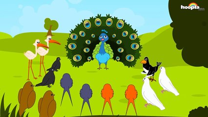 The Peacock and the Magpie - Aesops fables
