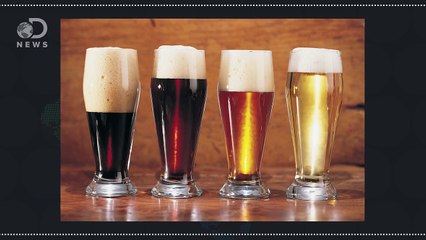 Creating The Perfect Craft Beer with Genetic Engineering