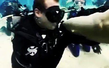 Tragedy feeding the animals