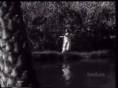 BLACK CAT (1959) - Sitaare Raah Takte Hain | Chale Aao Chale Aao