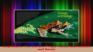 Read  Amphibians The World of Frogs Toads Salamanders and Newts Ebook Free