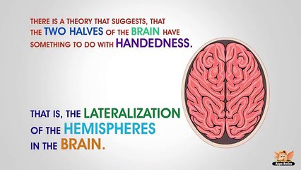 Why are some people Left Handed