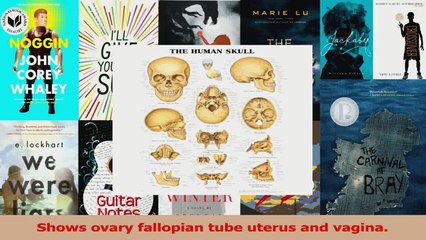 The Female Reproductive System 3D Raised Relief Chart PDF