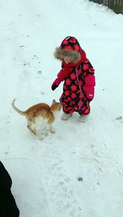 Un chat prépare un sale coup à une petite fille sur la neige