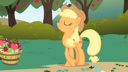 My Little Pony Friendship is Magic - Flight to the Finish